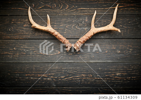 Deer antlers on vintage wooden background 61134309