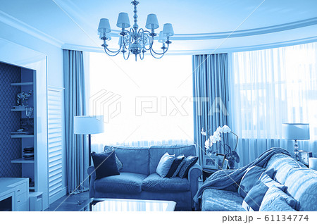 Modern living room interior in classic blue color. 61134774