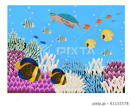 サンゴ礁と熱帯魚とウミガメ サンゴ礁と熱帯魚とウミガメ 61135578