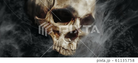 Skull of a dead man in on the ground 61135758