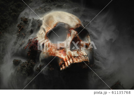 Skull of a dead man in on the ground 61135768