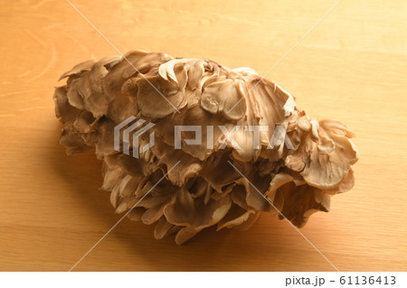 舞茸　　まいたけ 61136413