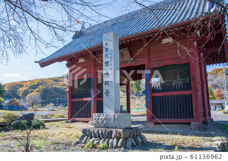 成身院 仁王門 本庄市児玉町 成身院 仁王門 本庄市児玉町 61136962