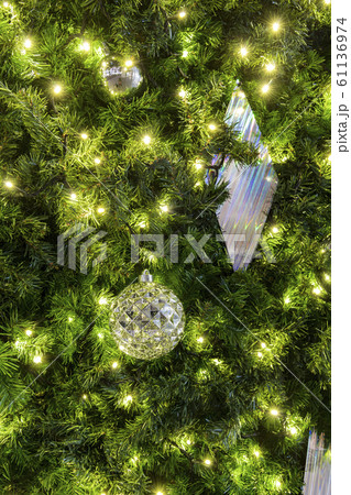 【クリスマスツリー】 61136974