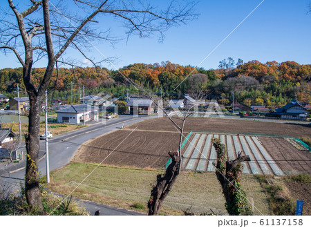 高窓の里方面 成身院 百体観音堂 本庄市児玉町小平付近 高窓の里方面 成身院 百体観音堂 本庄市児玉町小平付近 61137158