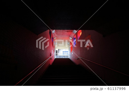 新潟 小千谷 小千谷駅前の鯉モチーフ地下道(室内) 新潟 小千谷 小千谷駅前の鯉モチーフ地下道(室内) 61137996