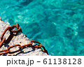 南国の海と港 61138128