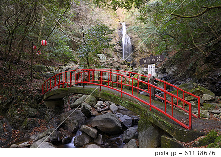 白藤の滝（三重県伊賀市） 61138676