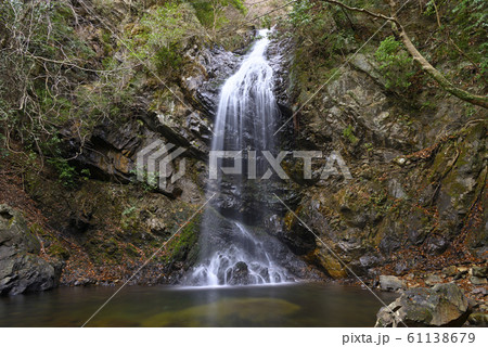 白藤の滝（三重県伊賀市） 61138679