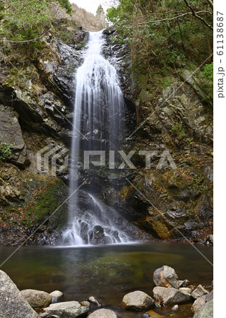 白藤の滝（三重県伊賀市） 61138687