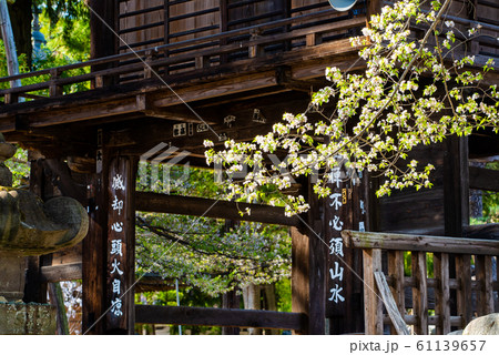 山梨県甲州市 恵林寺 三門 61139657