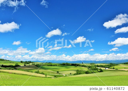 北海道　夏の青空と美瑛の大地 61140872