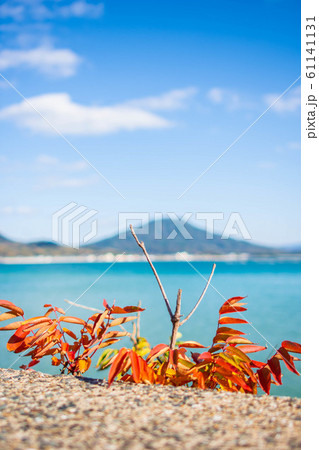 海岸沿いの風景 61141131