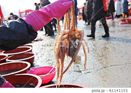 タコ シーフード 牛という潟 61141153