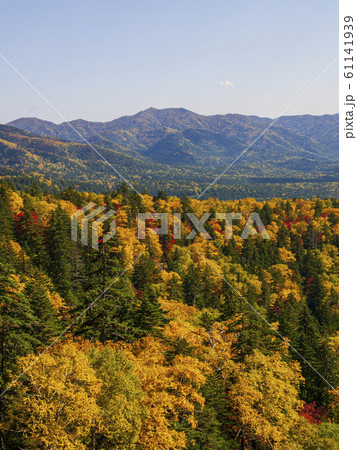 鮮やかな紅葉の三国峠と遠くの山 縦構図02の写真素材