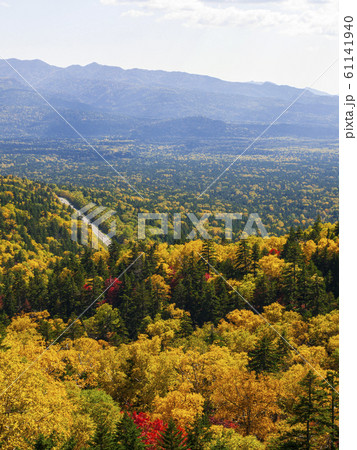 鮮やかな紅葉の三国峠と遠くの山 縦構図03の写真素材