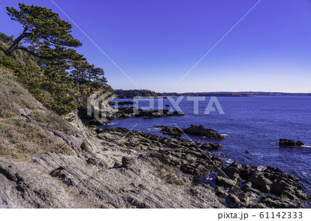 (神奈川県)荒崎海岸 磯 (神奈川県)荒崎海岸 磯 61142333