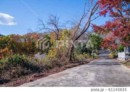 成身院 百体観音堂 境内 本庄市児玉町 成身院 百体観音堂 境内 本庄市児玉町 61143635