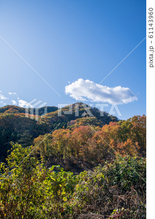 百体観音堂付近 晩秋の紅葉 本庄市児玉町 百体観音堂付近 晩秋の紅葉 本庄市児玉町 61143960