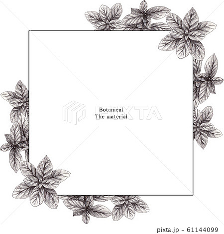 Botanical Frame Stock Illustration