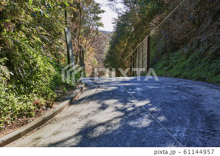 鎌倉の亀ヶ谷坂切通しの峠付近の風景 61144957