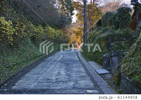 鎌倉の亀ヶ谷坂切通しの風景　山ノ内側 61144958