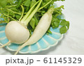 春の七草 61145329