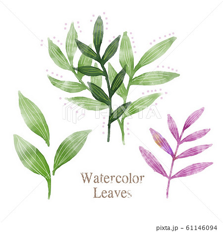 おしゃれな葉っぱ 植物の水彩イラストのイラスト素材
