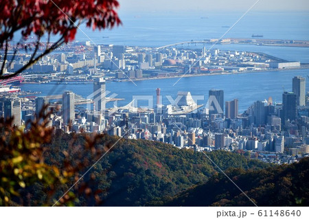 秋空の神戸ポートタワーと神戸港 秋空の神戸ポートタワーと神戸港 61148640