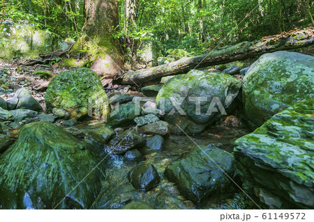 竜門ダム 竜門ダム 61149572