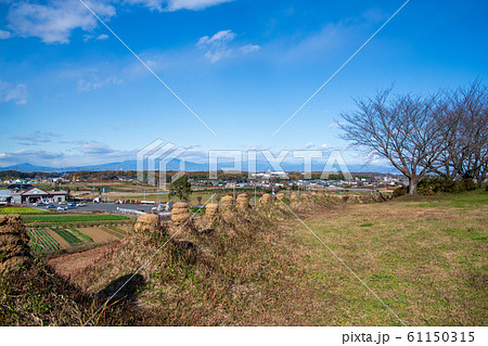 猪股の百八燈 埼玉県児玉郡美里町 猪股の百八燈 埼玉県児玉郡美里町 61150315