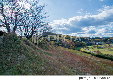 猪股の百八燈　埼玉県児玉郡美里町 61150632