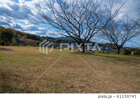 猪股の百八燈 広場 埼玉県児玉郡美里町 猪股の百八燈 広場 埼玉県児玉郡美里町 61150745