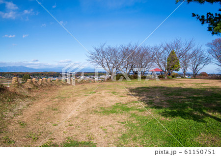 猪股の百八燈　埼玉県児玉郡美里町 61150751