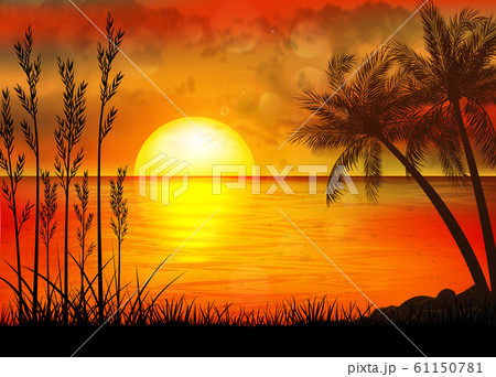A Tropical Sunset With Palm Treesのイラスト素材