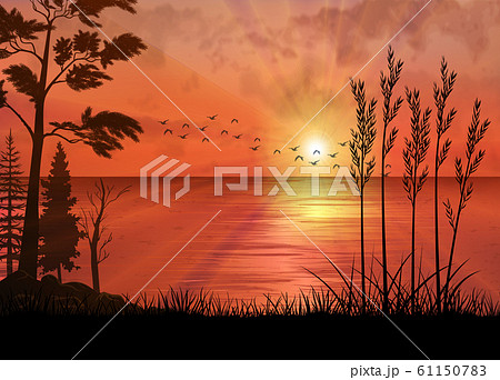 A Tropical Sunset Or Sunrise With Palm Treesのイラスト素材