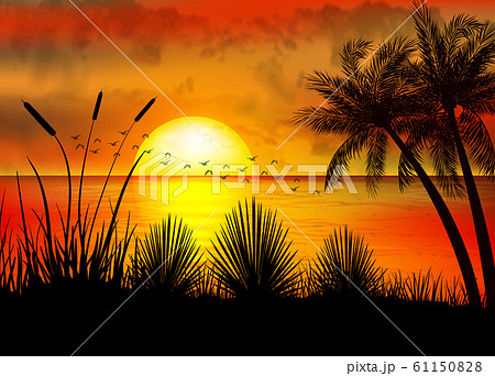 A Tropical Sunset With Palm Treesのイラスト素材