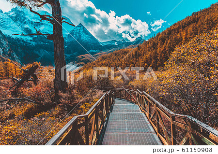 Pearl Lake or Zhuoma La Lake and snow mountain in 61150908