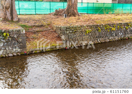 城下町の風景　沢端川　宮城県白石市 61151760