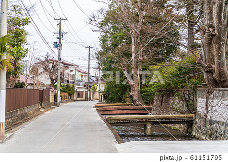 城下町の風景 沢端川 宮城県白石市 城下町の風景 沢端川 宮城県白石市 61151795