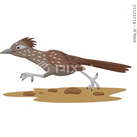 Cartoon Roadrunner bird running on the road 61152112