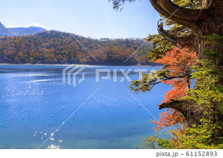 秋のえびの高原 六観音御池 宮崎県えびの市 秋のえびの高原 六観音御池 宮崎県えびの市 61152893