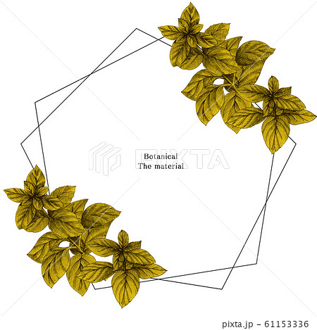 ボタニカルフレーム　枠 61153336