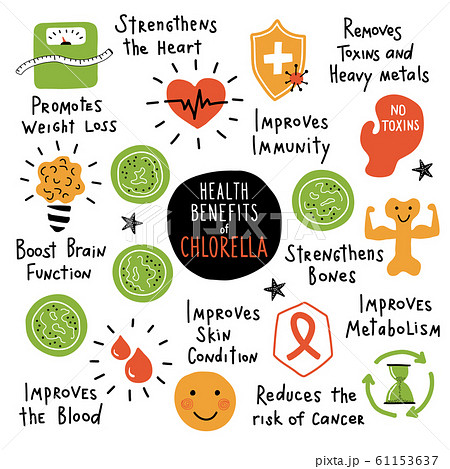 Chlorella, edible seaweed, health benefits. Funny hand drawn infographic poster.  61153637