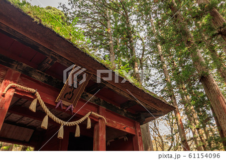 戸隠神社奥社　山門　長野県戸隠 61154096