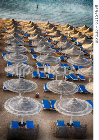 beach in the egypt beach in the egypt 61154699