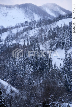 風景自然山岳写真　冬山　八幡平の雪景色　八幡平の樹氷 61155252