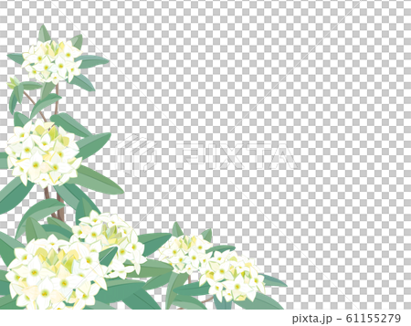 Sinking flower Sinking flower 61155279