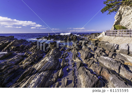 （神奈川県）荒崎海岸　磯 61155595