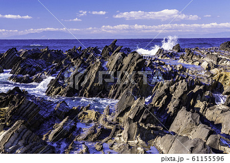 （神奈川県）荒崎海岸　磯 61155596